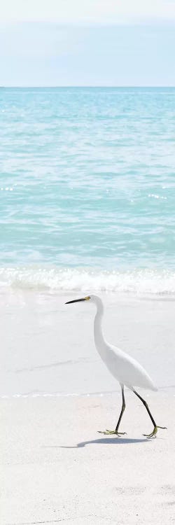Summer Egret II by Natalie Carpentieri wall art