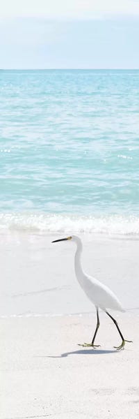 Egrets: Summer Egret II by Natalie Carpentieri
