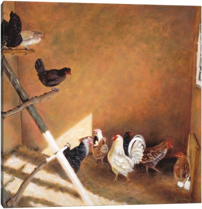 Harem In The Hay Canvas Art Print - Cindy Revell