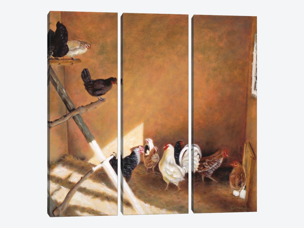 Harem In The Hay by Cindy Revell 3-piece Canvas Wall Art
