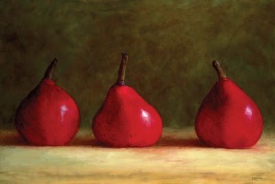 Lavish Red by Cindy Revell art print