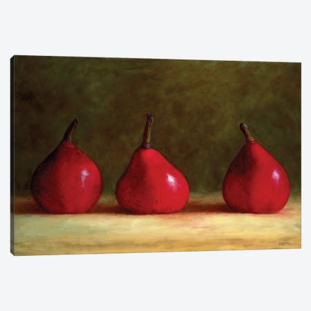 Lavish Red Canvas Print #CRV20} by Cindy Revell Canvas Print