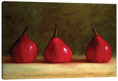 Lavish Red Canvas Art Print - Pear Art