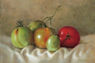Ripening Tomatoes III by Cindy Revell gallery poster