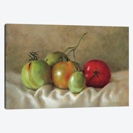 Ripening Tomatoes III Canvas Print #CRV25} by Cindy Revell Canvas Artwork