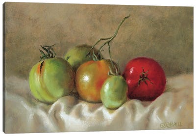 Ripening Tomatoes III Canvas Art Print - Cindy Revell