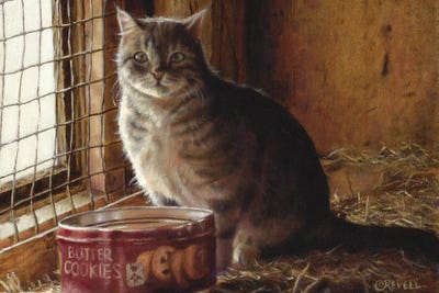 Barn Cat by Cindy Revell gallery poster