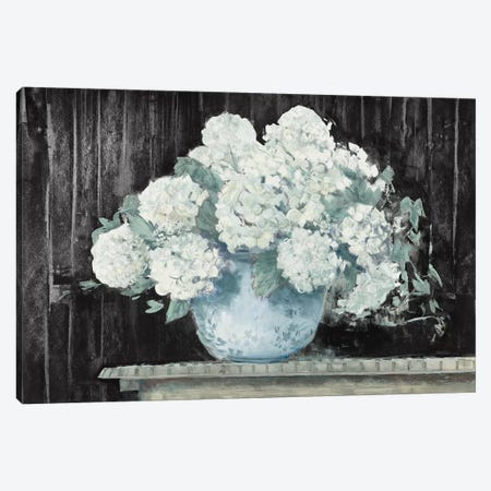 White Hydrangea on Black Crop Canvas Print #CRW15} by Carol Rowan Canvas Wall Art