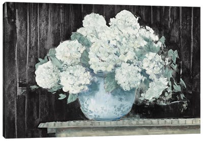 White Hydrangea on Black Crop Canvas Art Print - Carol Rowan