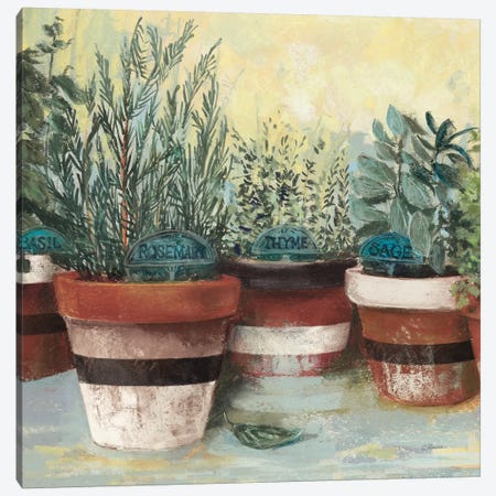 Potted Herbs II Stripes Crop Canvas Print #CRW18} by Carol Rowan Canvas Print