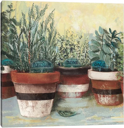 Potted Herbs II Stripes Crop Canvas Art Print - Carol Rowan