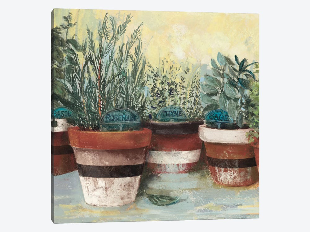 Potted Herbs II Stripes Crop by Carol Rowan 1-piece Canvas Art