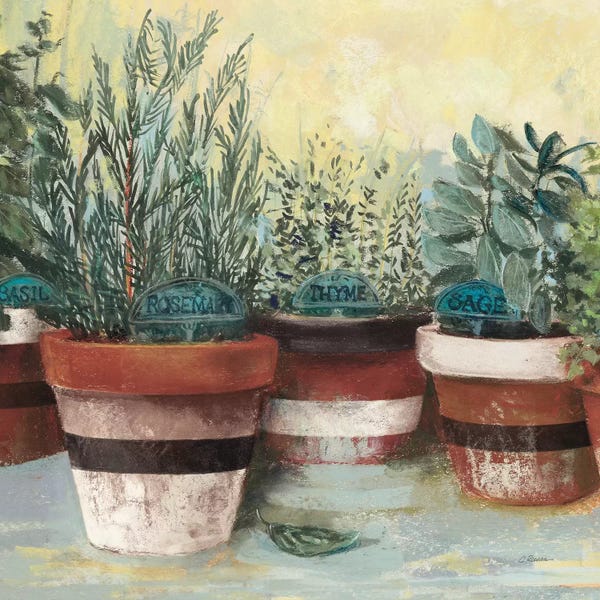 Herbs: Potted Herbs II Stripes Crop by Carol Rowan