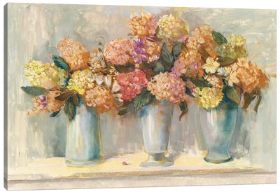 Fall Hydrangea Bouquets Canvas Art Print - Carol Rowan