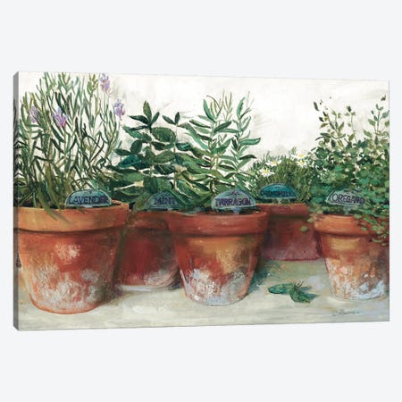 Pots of Herbs I White Canvas Print #CRW20} by Carol Rowan Canvas Artwork