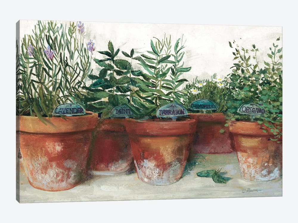Pots of Herbs I White 1-piece Art Print