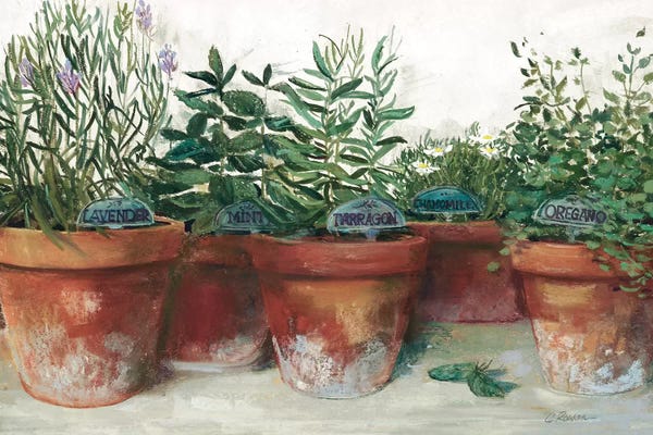 Modern Farmhouse Décor: Pots of Herbs I White by Carol Rowan