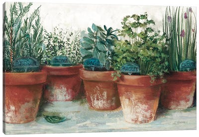 Pots of Herbs II White Canvas Art Print - Modern Farmhouse Living Room Art