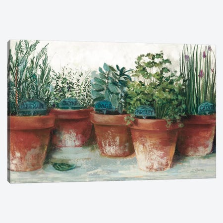 Pots of Herbs II White Canvas Print #CRW21} by Carol Rowan Canvas Wall Art