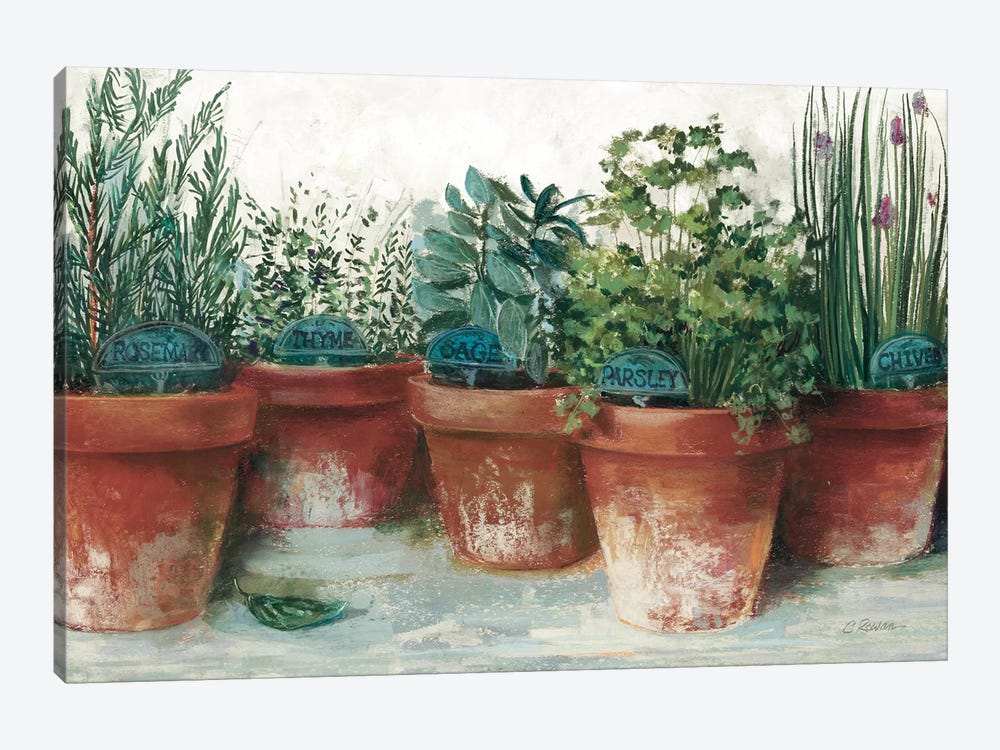 Pots of Herbs II White 1-piece Canvas Wall Art