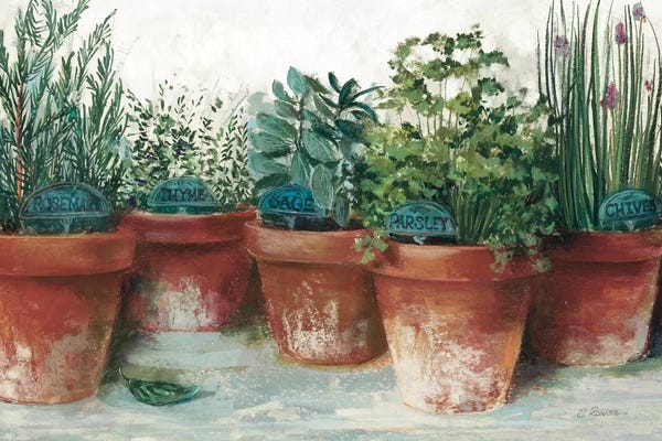Modern Farmhouse Décor: Pots of Herbs II White by Carol Rowan