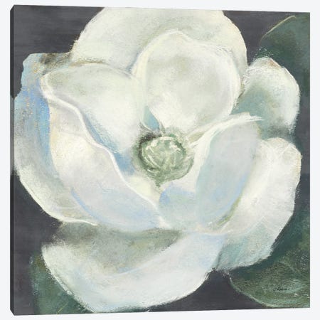 Magnolia II Sage Canvas Print #CRW23} by Carol Rowan Canvas Art