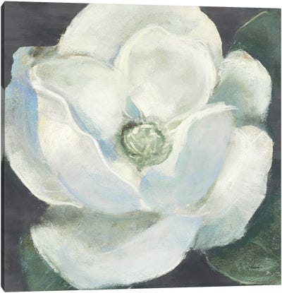 Magnolia II Sage Canvas Art Print - Carol Rowan
