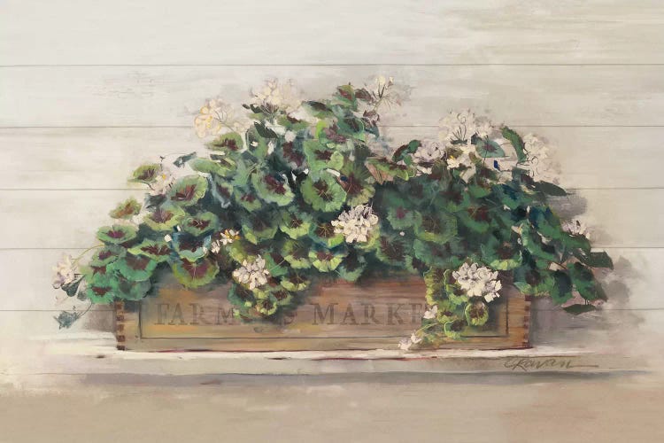 Farmers Market Geraniums by Carol Rowan wall art