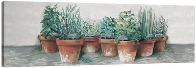 Pots of Herbs II Cottage v2 Canvas Art Print - Hobby & Lifestyle Art