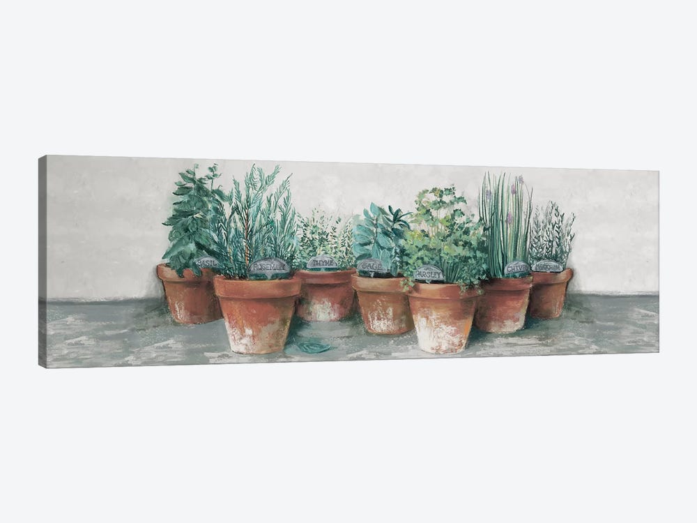 Pots of Herbs II Cottage v2 by Carol Rowan 1-piece Canvas Artwork