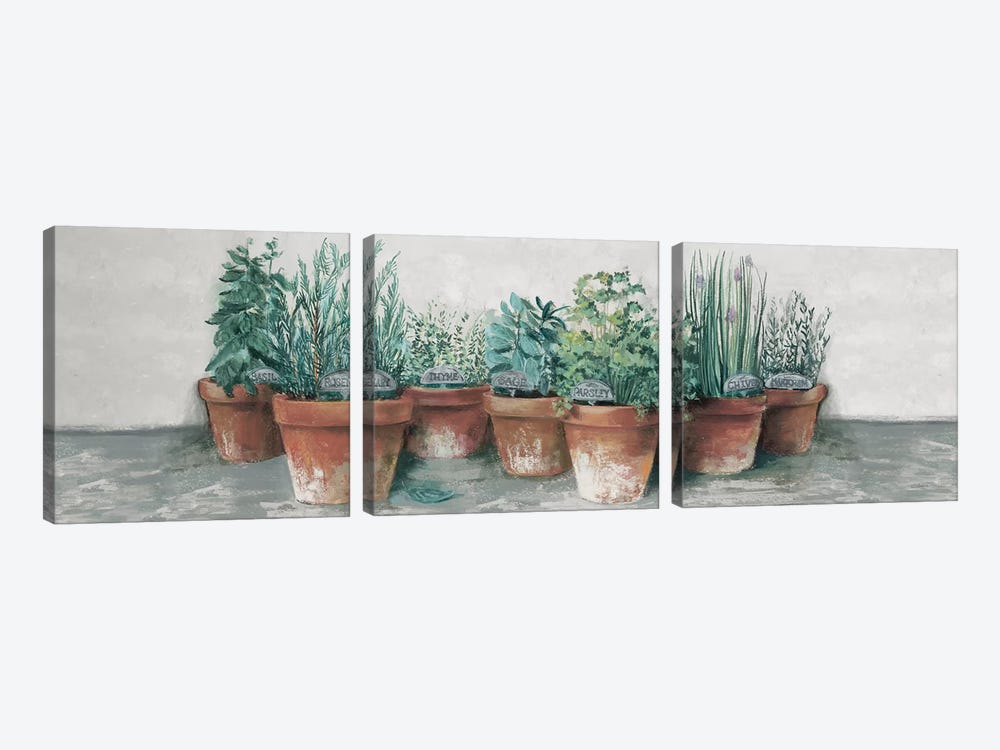 Pots of Herbs II Cottage v2 by Carol Rowan 3-piece Canvas Art