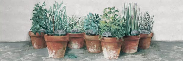 Carol Rowan: Pots of Herbs II Cottage v2 by Carol Rowan