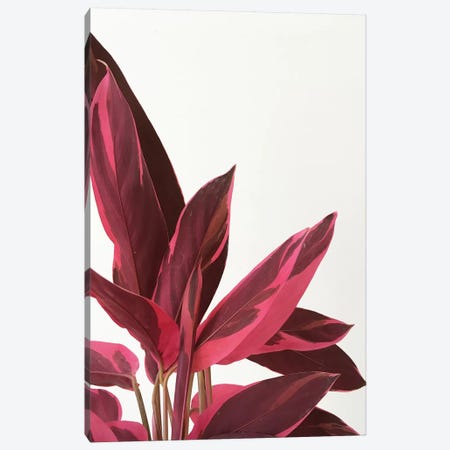 Red Leaves II Canvas Print #CSB107} by Cassia Beck Canvas Wall Art