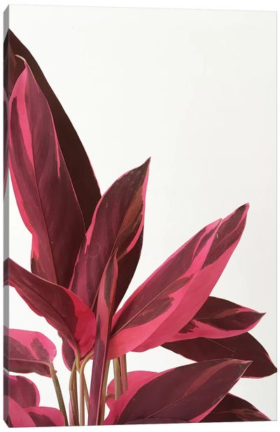 Red Leaves II Canvas Art Print - Cassia Beck