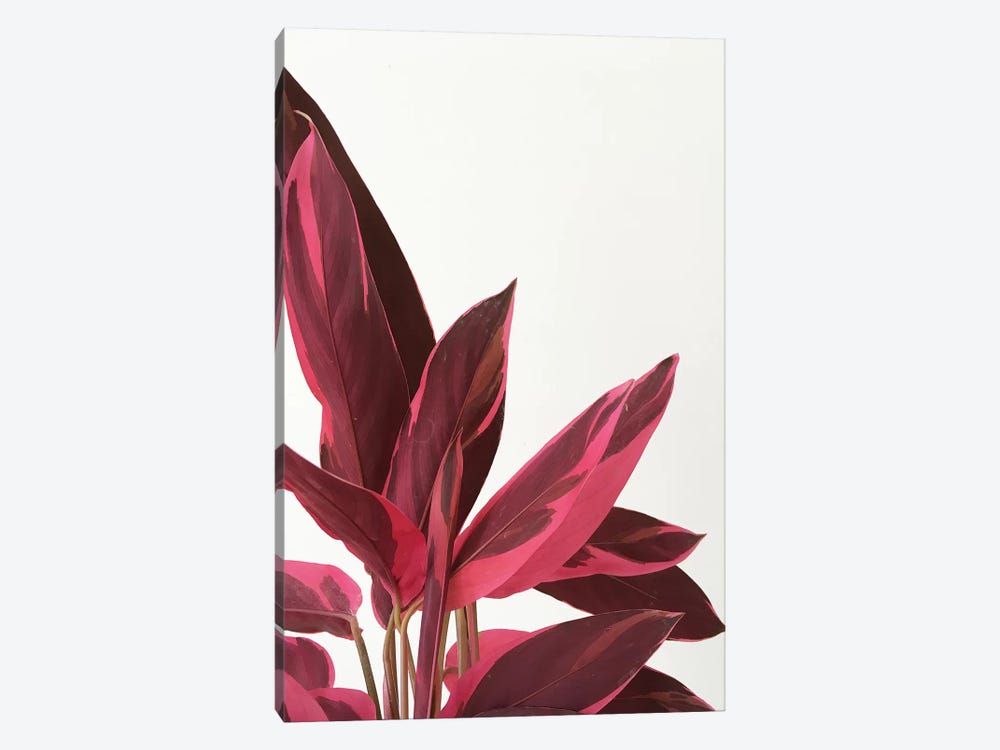 Red Leaves II by Cassia Beck 1-piece Art Print