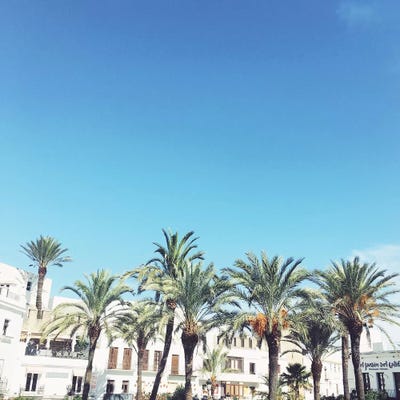 Spanish Square by Cassia Beck canvas print