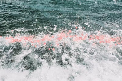 Splash by Cassia Beck framed canvas print