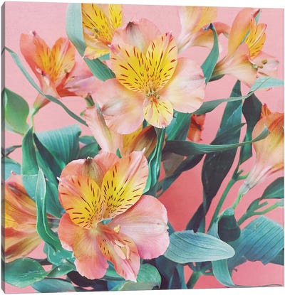 Spring Bouquet Canvas Art Print - Cassia Beck