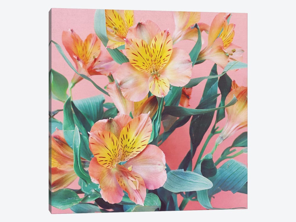 Spring Bouquet by Cassia Beck 1-piece Canvas Wall Art