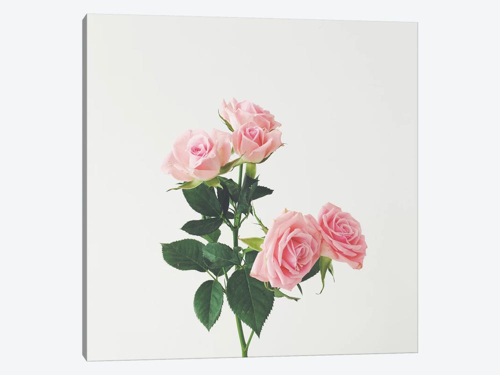 Spring Roses by Cassia Beck 1-piece Art Print