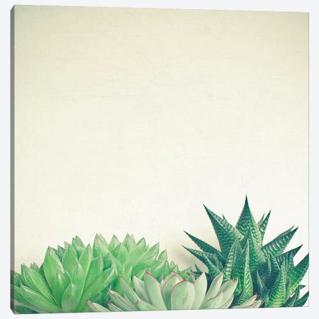 Succulent Forest Canvas Print #CSB127} by Cassia Beck Canvas Art