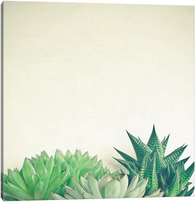 Succulent Forest Canvas Art Print - Cassia Beck