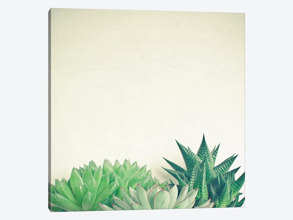 Succulent Forest by Cassia Beck 1-piece Canvas Art Print