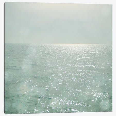The Silver Sea Canvas Print #CSB142} by Cassia Beck Canvas Print