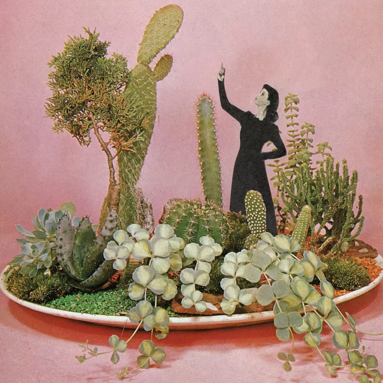 The Wonders of Cactus Island by Cassia Beck wall art