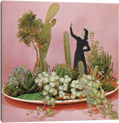 The Wonders of Cactus Island Canvas Art Print
