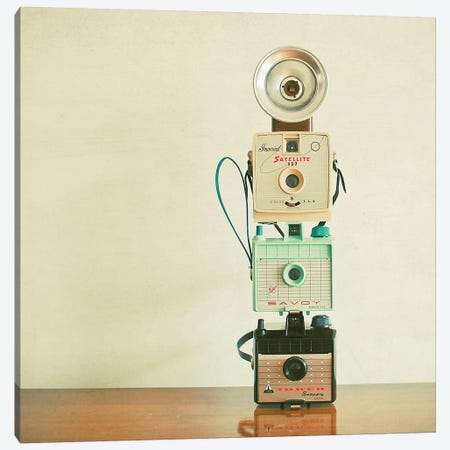 Tower of Cameras Canvas Print #CSB144} by Cassia Beck Canvas Art