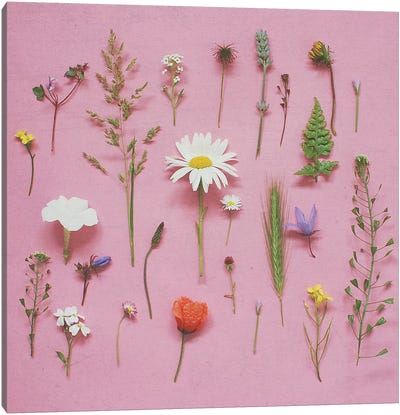 Wild Flowers Canvas Art Print - Vintage Décor