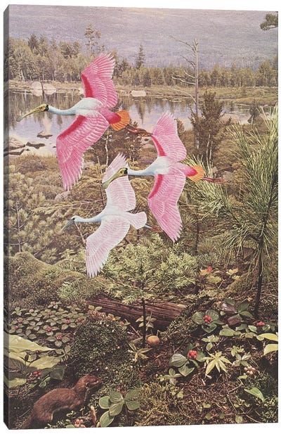 Flight of the Spoonbills Canvas Art Print - Spoonbills