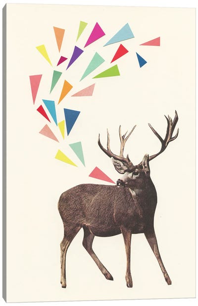 Singing Stag Canvas Art Print - Cassia Beck